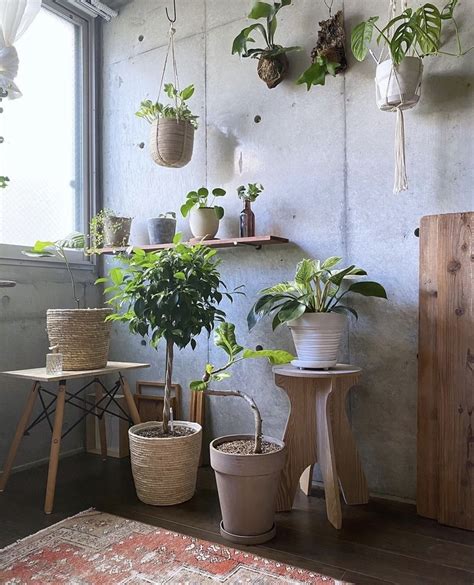 室内花|室内に植物を飾るなら☆手入れも簡単！おすすめの花々